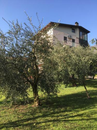 Apartamento La Casa Degli Ulivi