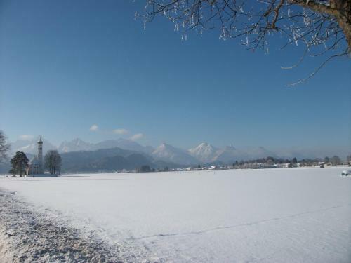 Apartamentos Haus Alpenrose