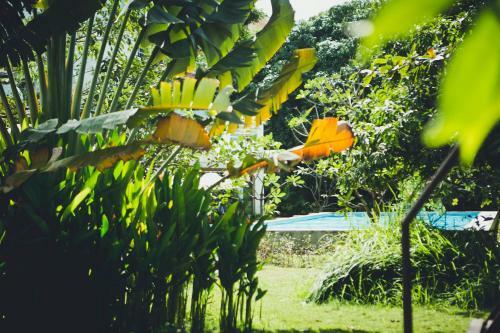 Iroha Garden Hotel & Resort