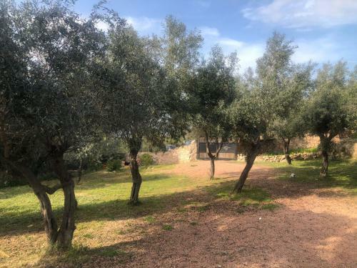 Casa Vacanza La Sarra