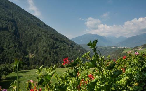 Apartamento Kreuzplonhof