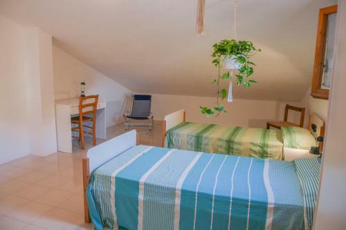 Agroturismo Elba Casa Mare Natura