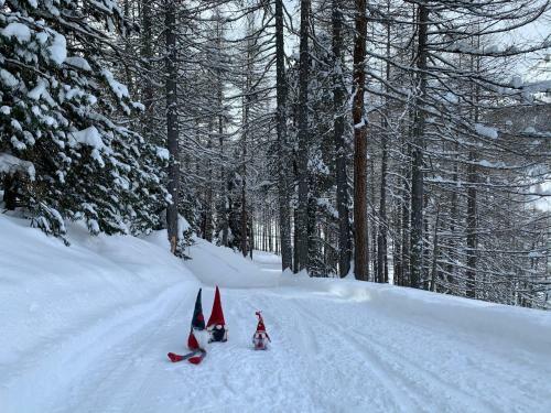Apartamento Appartamento Gnomo Livigno