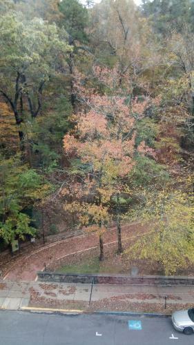 Park Hotel Hot Springs