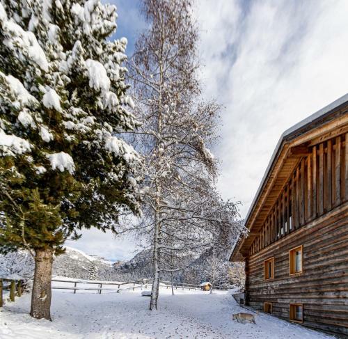 Apartamento Nido Del Brenta