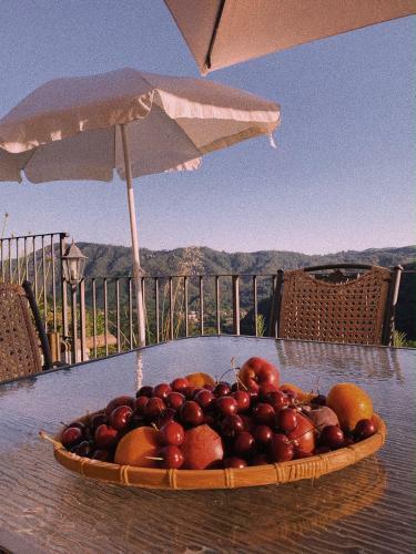 Villa La Pianella Farmhouse