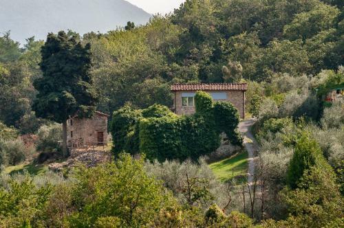 Villa Tenuta San Giovanni Lucca - Borgo Ai Rovai