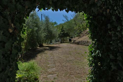 Villa Tenuta San Giovanni Lucca - Borgo Ai Rovai
