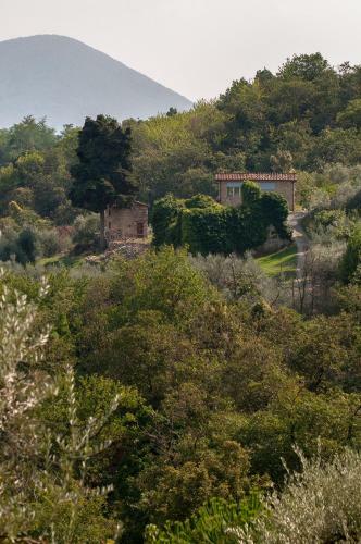 Villa Tenuta San Giovanni Lucca - Borgo Ai Rovai