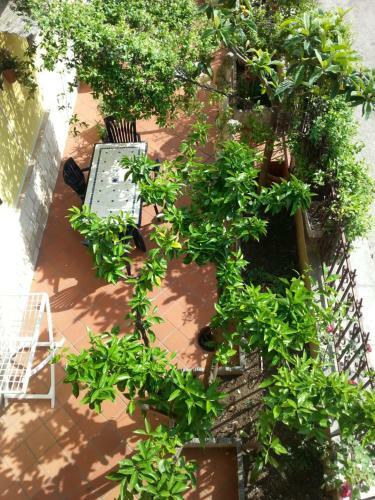 Apartamento Il Giardino Di Rosy