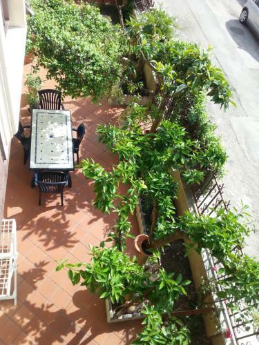Apartamento Il Giardino Di Rosy