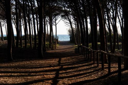 Apartamento Appartamento Il Bucaniere A Marina Di Cecina