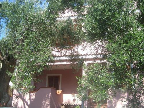 Pleasant Apartment In Marina Di Camerota
