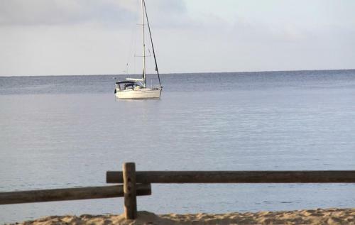 Apartamento Appartamenti Acquamarina A Campo