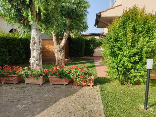 Casa Eucalipto Marina Di Campo, Elba