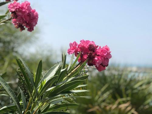 Apartamento Residence Romeo