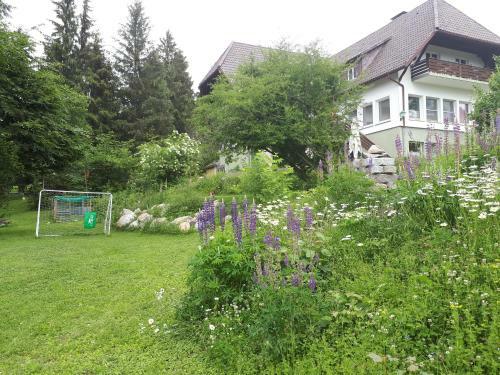Hostal B & B Der Waldvogel