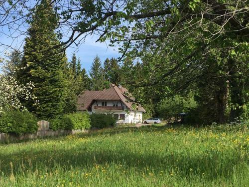 Hostal B & B Der Waldvogel