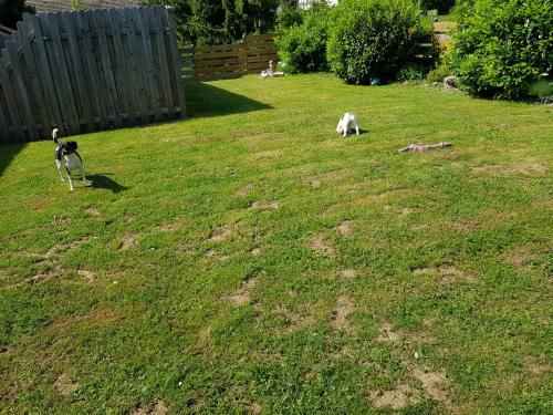 Apartamento Jules Traum Im Schwarzwald