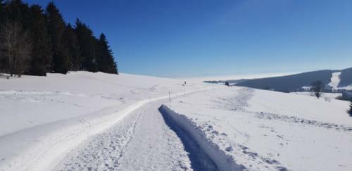 Apartamento Jules Traum Im Schwarzwald