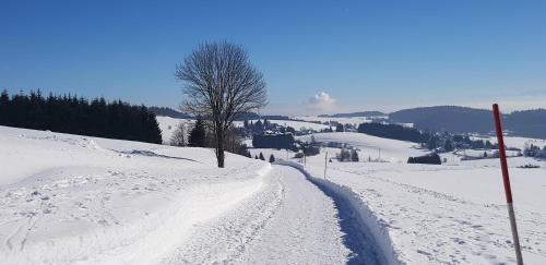 Apartamento Jules Traum Im Schwarzwald