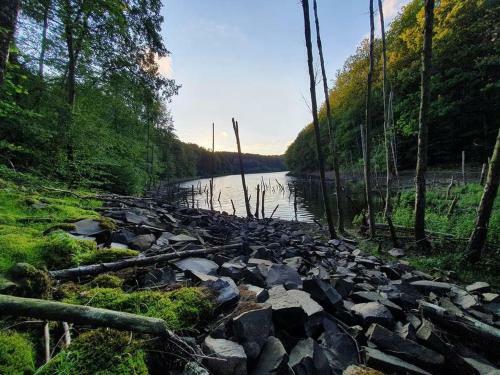 Apartamento Haus Blumengl�ck