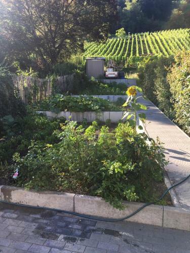 Apartamento Ferienwohnungen Weiherhausstra�e 6