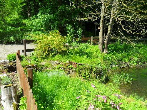 Ferienhaus H�llenm�hle