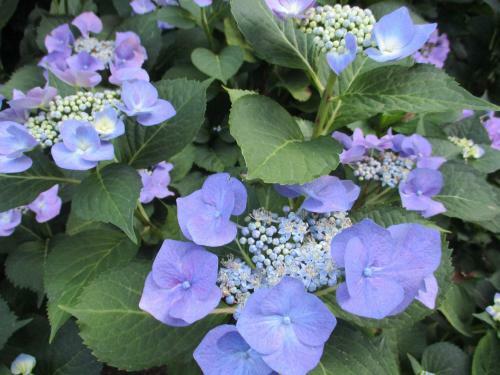 Apartamento Schoenes Haus