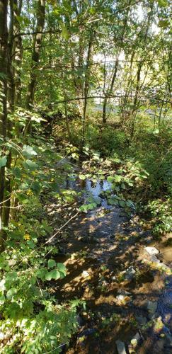 Apartamento Schoenes Haus