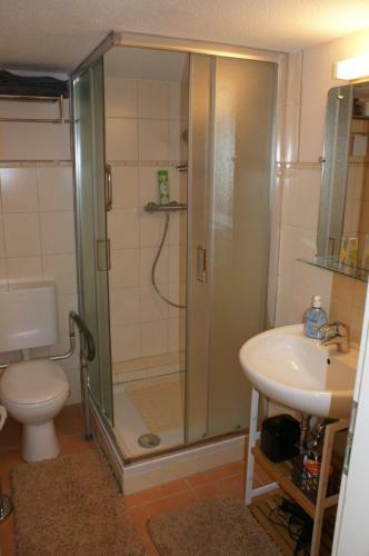 Apartamento Ferien-/monteurwohnung Olbrich