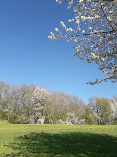 Apartamento Haus Auersburg