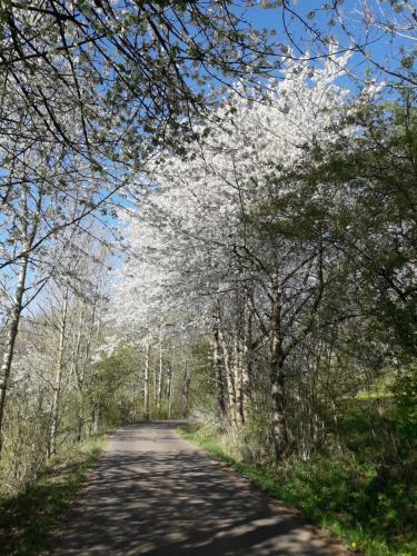 Apartamento Haus Auersburg