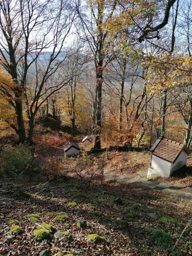 Apartamento Haus Auersburg