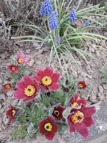 Apartamento Haus Auersburg