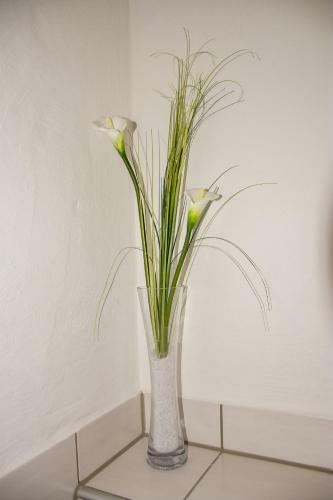 Apartamento Haus Bott