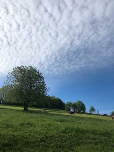 Rh�nzeit Apartements Und Zimmer