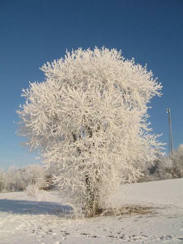 Apartamento Ferienwohnung Franziska