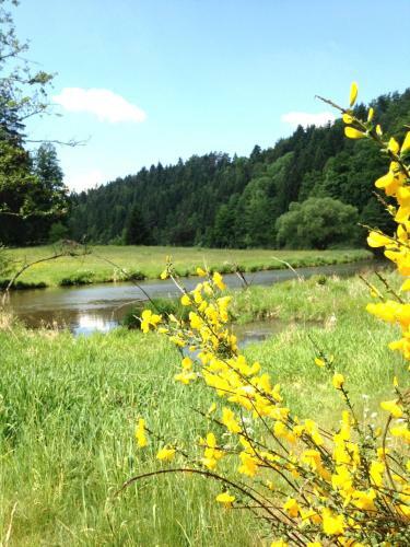 Apartamento Ferienwohnung Glasgarten