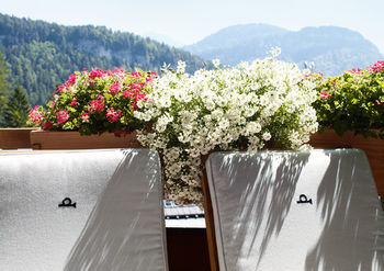 Hotel Post Und Susanne Kaufmann Spa