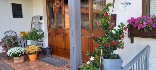Apartamento G�stehaus Klein