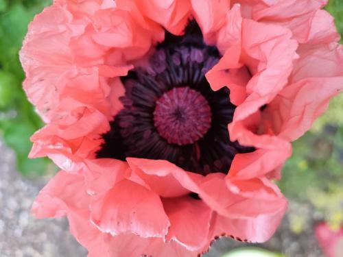 Apartamento Webers Ferienwohnungen