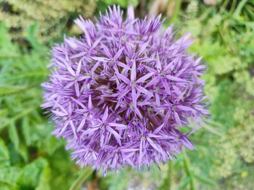 Apartamento Webers Ferienwohnungen