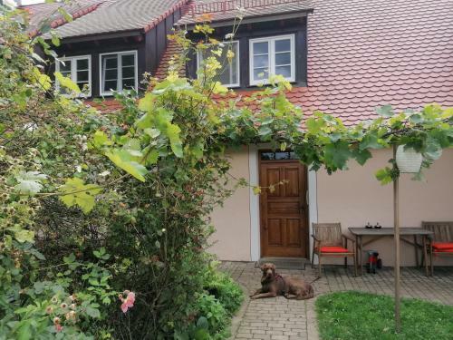 Ferienwohnungen Wastl Fr�nkische Schweiz