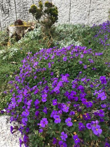 Apartamento Fewo Hegauhaus Alkapa