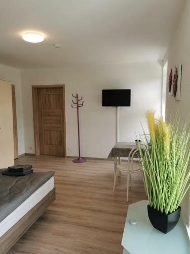 Hostal Pension Am Steinbruch