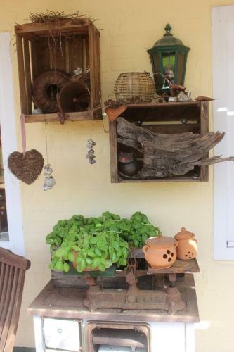 Apartamento Ferienwohnung Nr 6