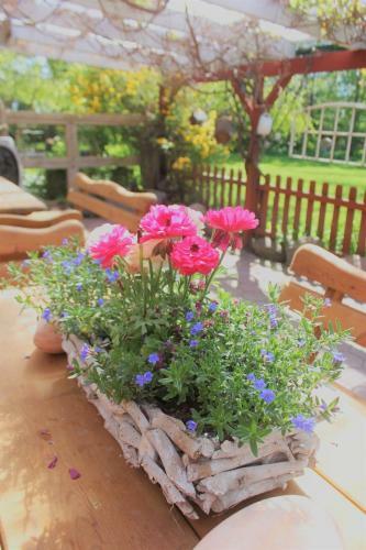 Apartamento Ferienwohnung Nr 6