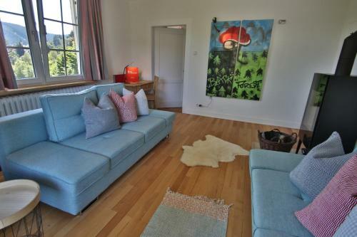 Ferienhaus Matz, Feldberg, Hochschwarzwald