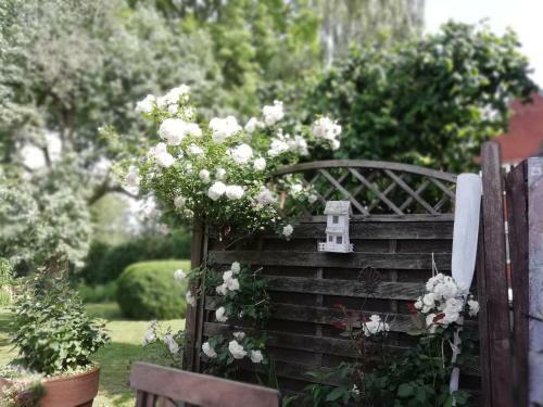 Apartamento Alte Pastorei